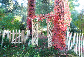 Träräcke 1,2 m / 5,0 m - Växtstöd - 6430068430558 - 2