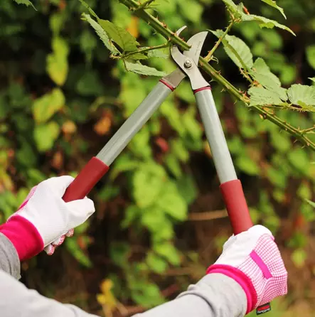 Kent & Stowe sekatörer - Grensaxar och sågar - 5060396792908 - 2