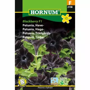 Sorgpetunia ´Blackberry F1´ - Frön och sättpotatisar. - 5708787021588 - 1