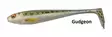 Jigg Duckfin Shad 5", olika färger - Beten och flugor - 4027093401848 - 4