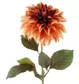 Dahlia 74 cm kanelfärgad - Hobbyartiklar - 6410416567778 - 1