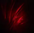 Aurora projektorlampe - Stämningsbelysning - 6410416484808 - 7