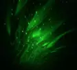 Aurora projektorlampe - Stämningsbelysning - 6410416484808 - 6