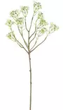 Vaxblomma kräm - Hobbyartiklar - 6410416529288 - 1