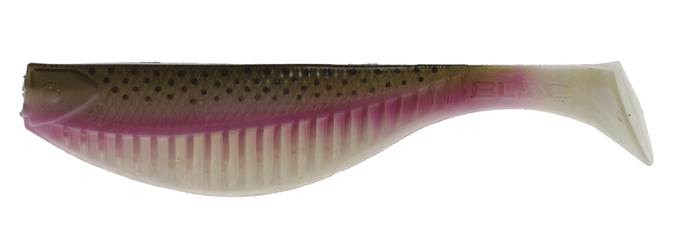 Blind Softbait Rainbow 12 cm (4 st) - Beten och flugor - 6438212011868 - 1