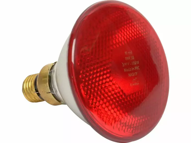 Värmelampa 100W röd tryckglas - Djurskötselutrustning - 8719493512328 - 1