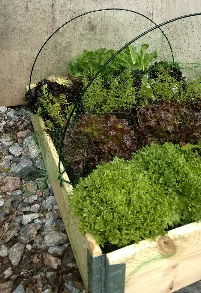 Metallbågar för pallkrage - Andra trädgårdstyger - 6430040629338 - 2