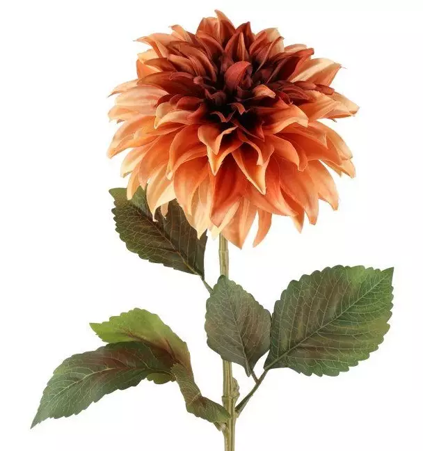 Dahlia 74 cm kanelfärgad - Hobbyartiklar - 6410416567778 - 1