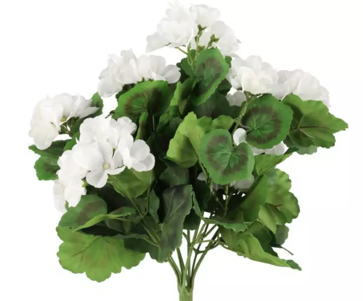 Vit pelargon 39 cm - Andra vackra saker - 6410416529868 - 1