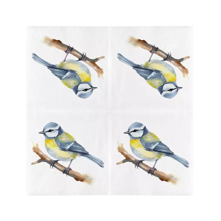 Fåglar servetter 20 st/fp - Fågelrelaterade produkter - 8714982286438 - 1