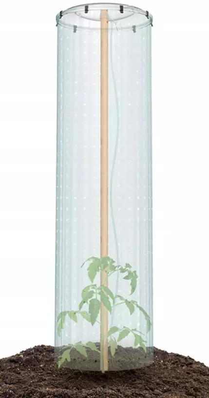 TomatoPot-skyddshuv - Plantuppfödning - 5905197383798 - 1