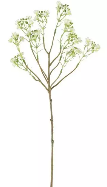 Vaxblomma kräm - Hobbyartiklar - 6410416529288 - 1