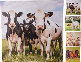 Kanvas med djurmotiv - Gårdrelaterade produkter - 8719987851599 - 1