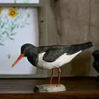 Wildlife Garden dekorationfågel Kryssningstrut - Naturrelaterade produkter - WG459 - 3