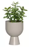 Kruka Nala 16 cm ljusgrå - Krukor, vaser, korgar - 6410416443829 - 2