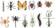 Insekter och andra kryp - Inomhusleksaker - 6410416529479 - 1