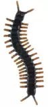 Insekter och andra kryp - Inomhusleksaker - 6410416529479 - 3