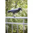 Korp fågelskrämma med fäste - Bekämpning av gnagare - 8714982098659 - 2