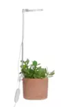 LED-lamp - Plantuppfödning - 6410416429229 - 1