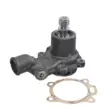 Vattenpump, passar CASE, MF, Landini - Traktortillbehör - 8716106065639 - 1