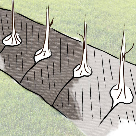 Skyddstyg för buskage 0,4 x 15 m - Andra trädgårdstyger - 6430040628539 - 1