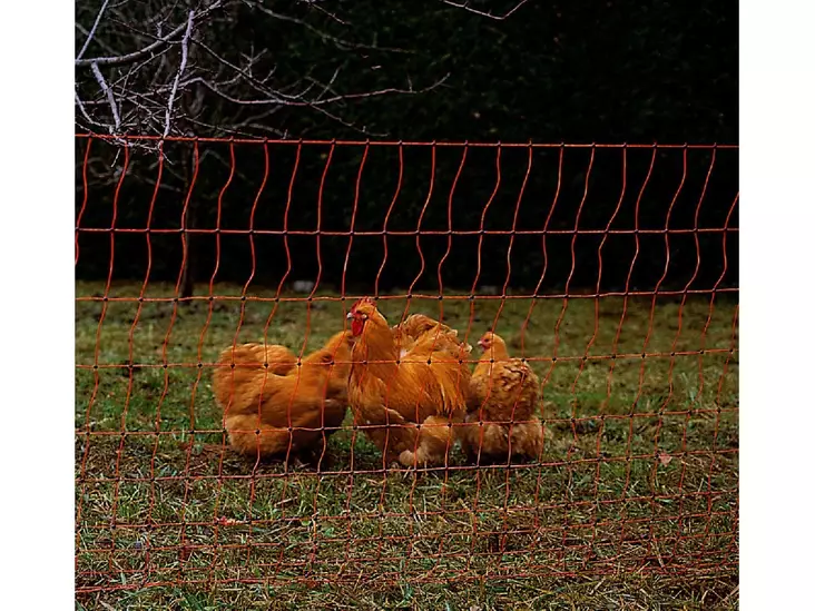 Kaninnät flyttbart 112 cm 50 m, en-piggs stolpe - Stängselnät - 8713235022229 - 1