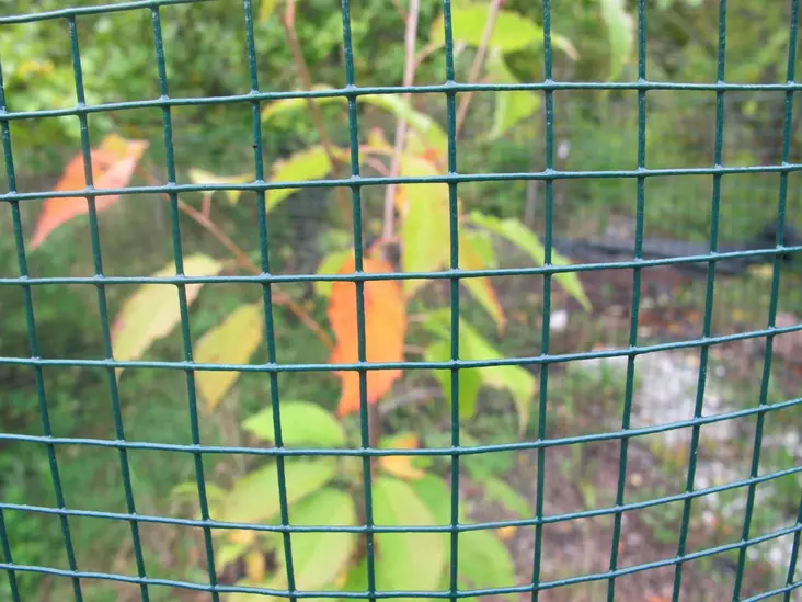 Skyddsnät grön 0,6 x 25 m - Stängselnät - 6430040627679 - 1