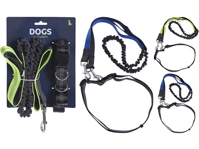 Hundpromenadsbälte med koppel - Koppel och halsband - 8719987540059 - 1