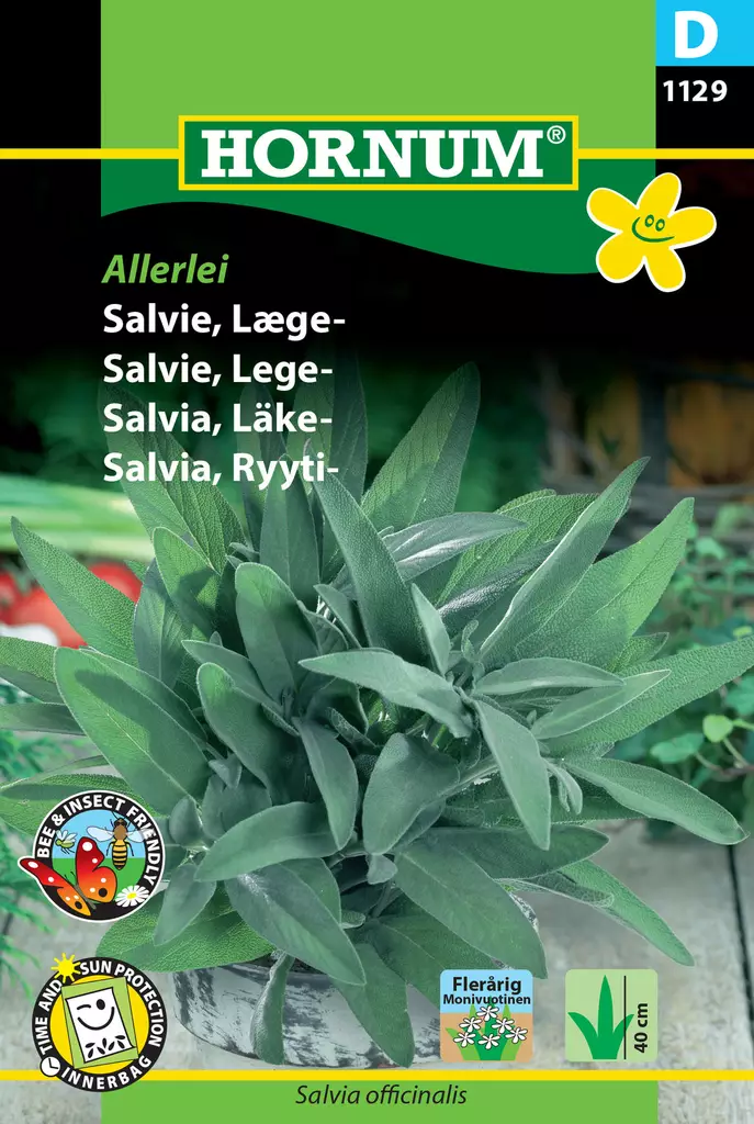 Kryddsalvia ´Allerlei´ - Frön och sättpotatisar. - 5708787011299 - 1