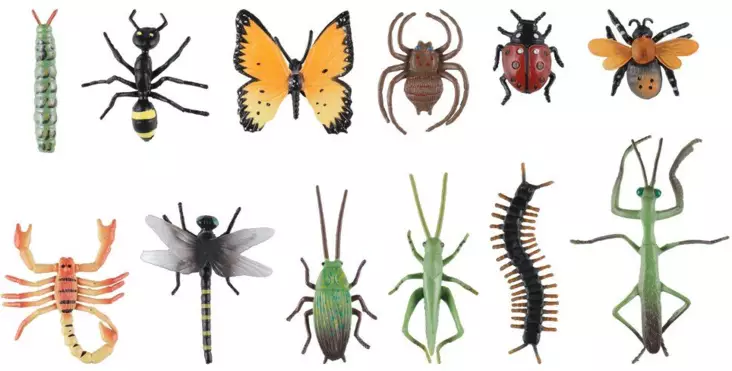 Insekter och andra kryp - Inomhusleksaker - 6410416529479 - 1