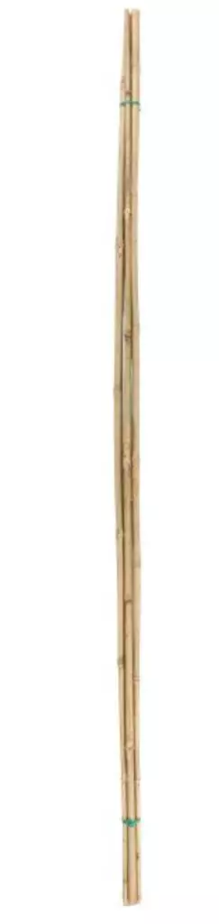 Bambu Planteringsstöd 150 cm 5 st - Växtstöd - 6410416335209 - 1