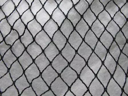 Fågelnät Pro 6x50 m - Fågelskydd - 6430068433559 - 1