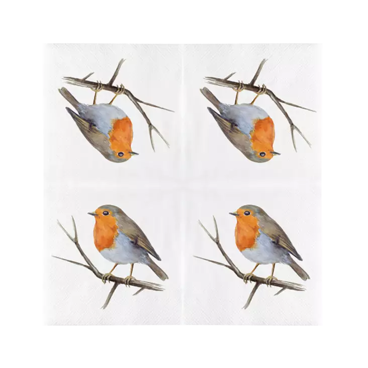 Fågelservetter 20 st/förpackning - Fågelrelaterade produkter - 8714982286469 - 1