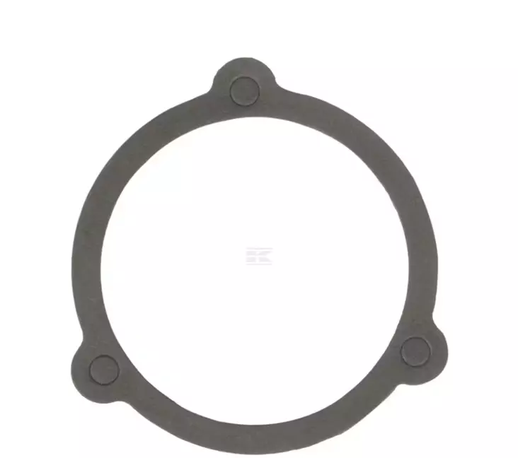 Dichtungen för sprutpump, passar Belarus - Bränslesystem - 8719607144469 - 1