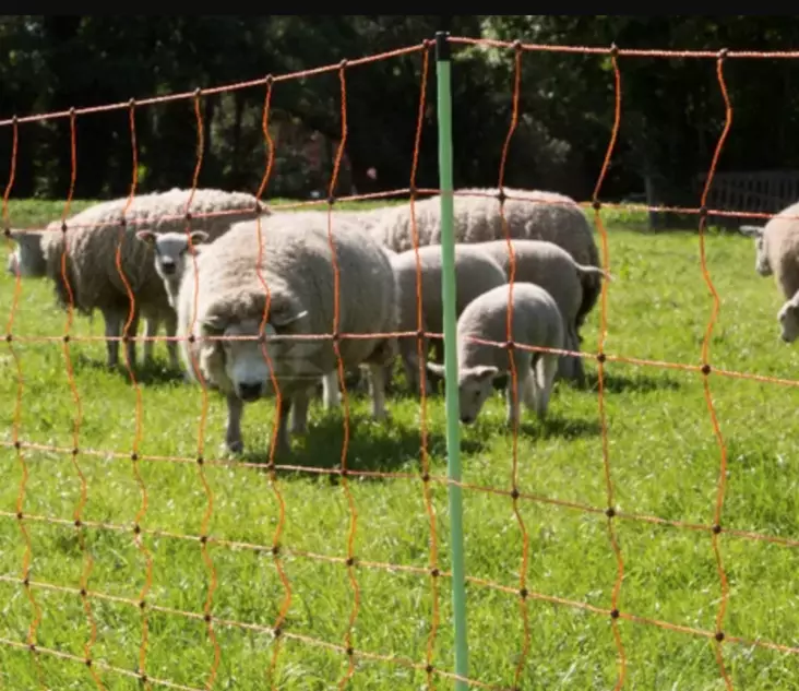 Elektriskt fårnät 90 cm 50 m/rulle - Stängselnät - 8719493482409 - 2