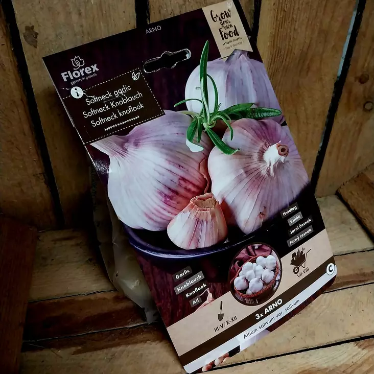 Vitlök Arno 3 st/pack - Frön och sättpotatisar. - 8713339101349 - 1