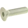 Sänkskruv sexkantshuvud M4 x 8 mm 8.8 25 st - Bultar och muttrar, metrisk gänga - 8716106796625a - 1