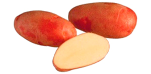 Fröpotatis Rosamunda 5 kg - Frön och sättpotatisar. - rosamunda5kg - 1