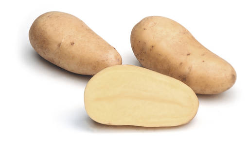 Fröpotatis Annabelle 10 kg - Frön och sättpotatisar. - annabelle10kg - 1