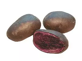 Fröpotatis Blue Congo 1 kg - Frön och sättpotatisar. - bluecongo1kg - 1