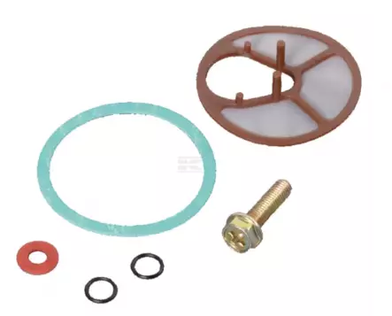 Reparationssats för bränslepump - Bränslesystem - 1260049N - 1