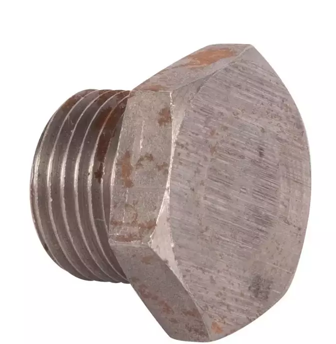 Oljetäckplugg Perkins - Motor - 2487004N - 1