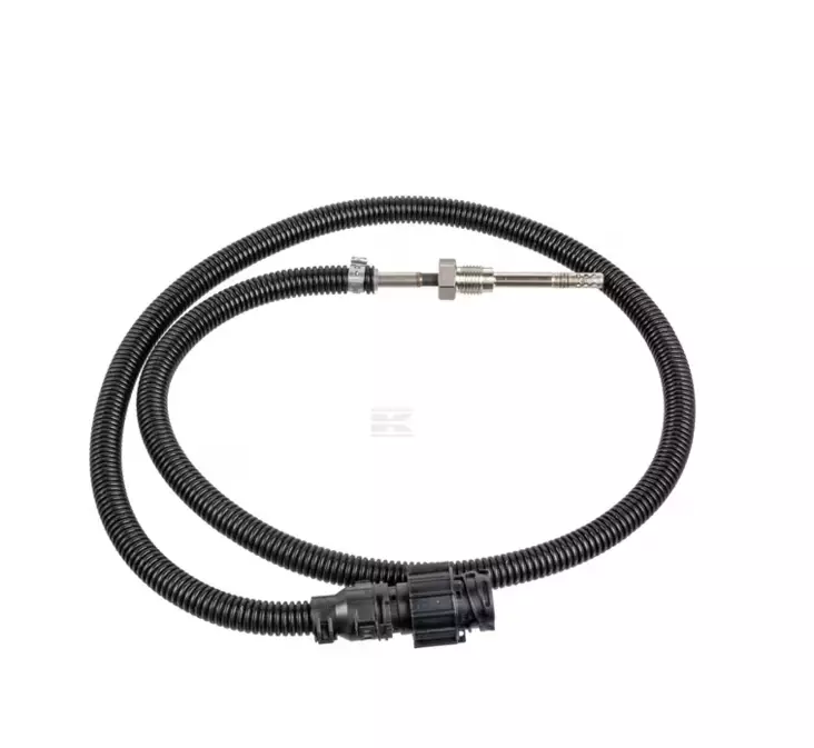 Avgassensort för temperatur - Elsystem - 04212749N - 1