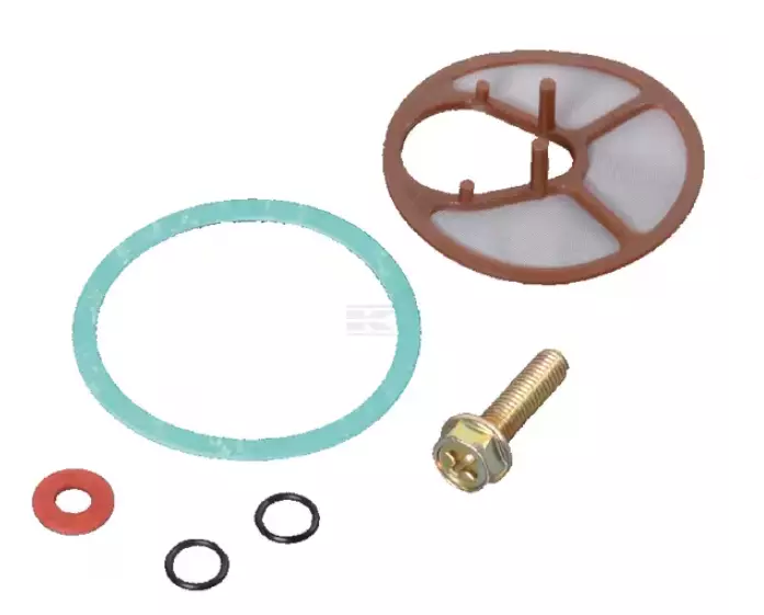 Reparationssats för bränslepump - Bränslesystem - 1260049N - 1