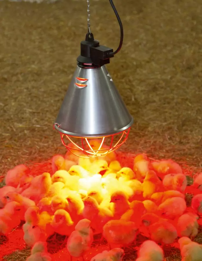 Värmefläktsladd Kerbl 2,5 m - Fjäderfä - 2228KER - 1